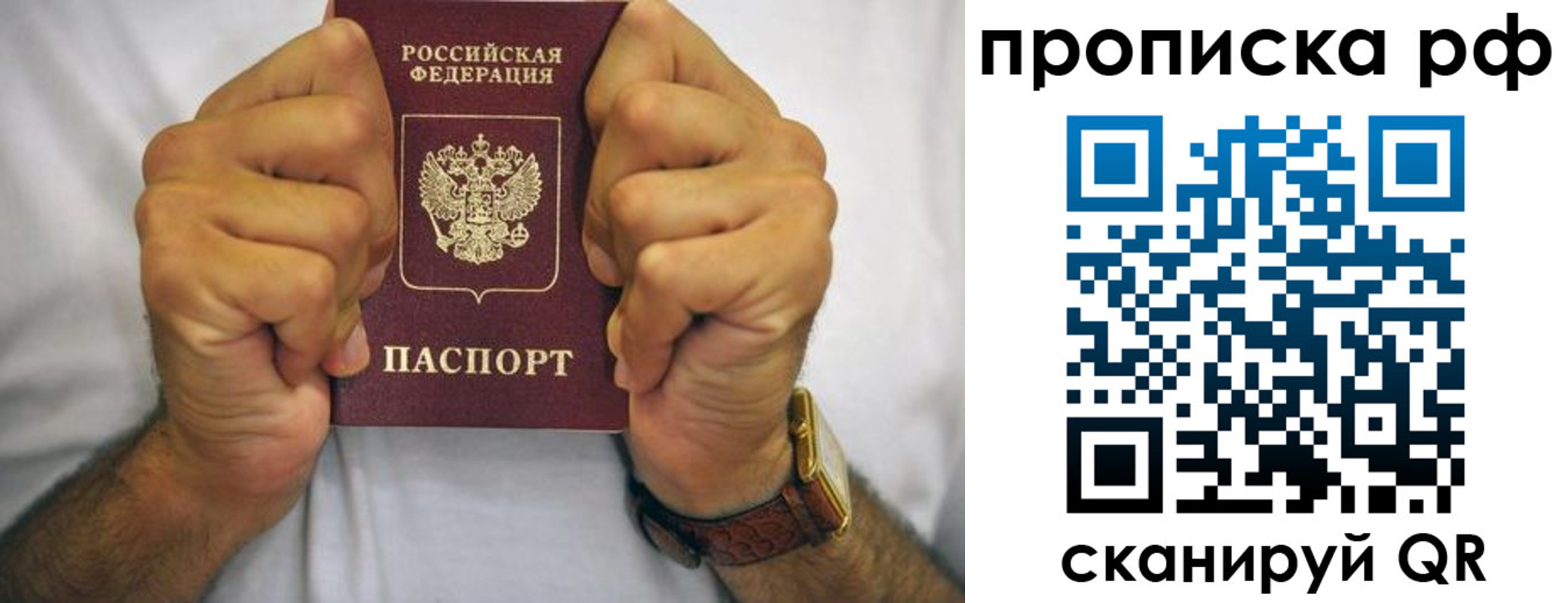 прописка регистрация в Алексине